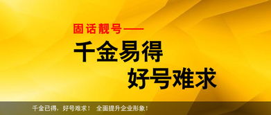 惊 中山固话靓号 88888882 拍卖价98万起